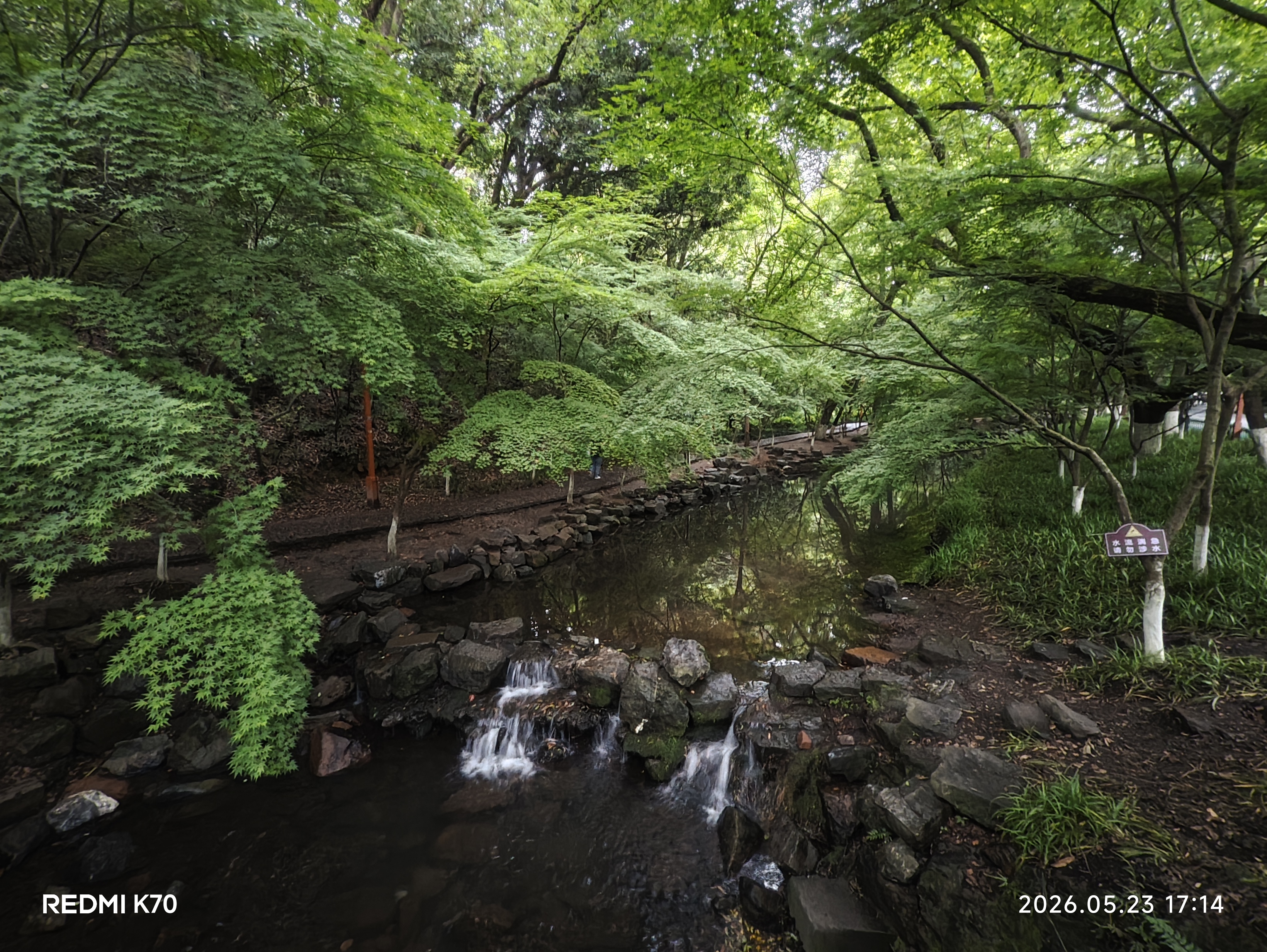Xixi Wetland